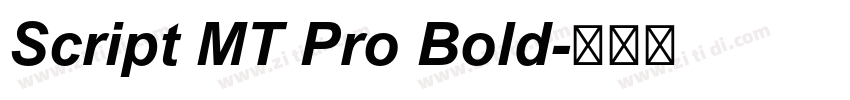 Script MT Pro Bold字体转换
